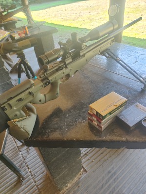 .308 Rem 700 in AI stock